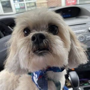 Meet your Posher, Laura